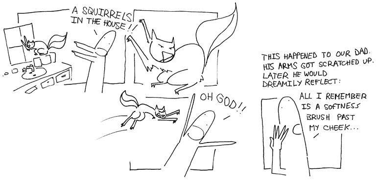 Squirrel