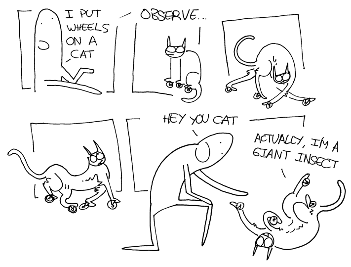 Observation