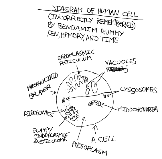 Cell