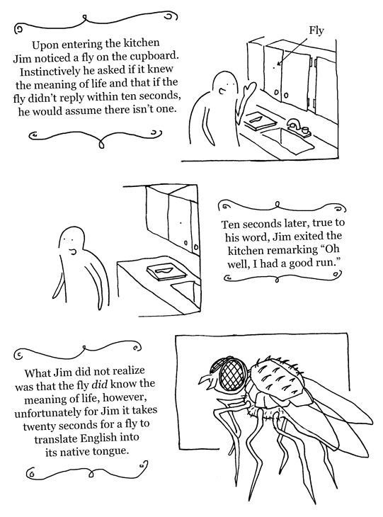 Fly